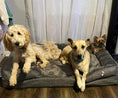 Load image into Gallery viewer, Preshy Paws Orthopedic Pet Beds