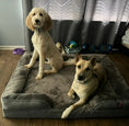 Load image into Gallery viewer, Preshy Paws Orthopedic Pet Beds