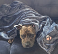 Load image into Gallery viewer, Preshy Paws Blanket