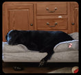 Load image into Gallery viewer, Preshy Paws Orthopedic Pet Beds