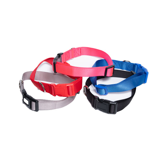 Dog Collars - High Quality Nylon