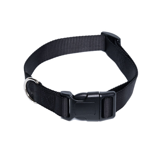 Dog Collars - High Quality Nylon