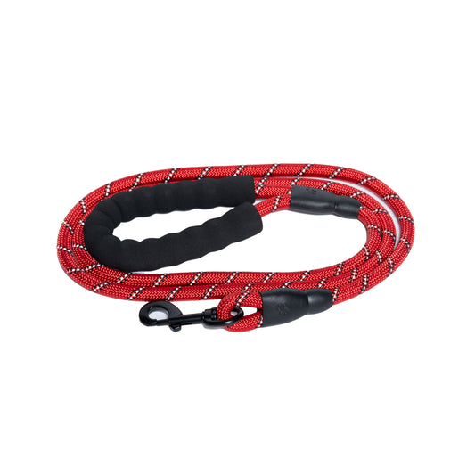 Pet Leash - 5 FOOT